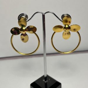Argolla asia