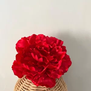 Maxipeonia roja