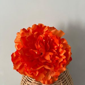 Maxipeonia naranja