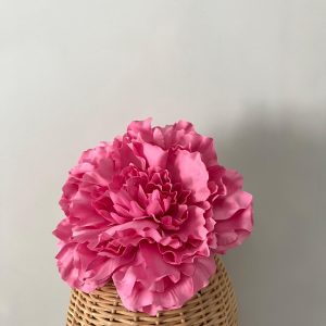 Maxipeonia rosa chicle