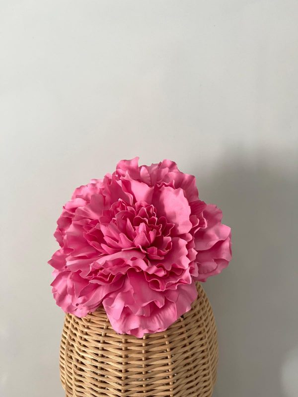 Maxipeonia rosa chicle