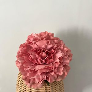 Maxipeonia rosa empolvado
