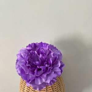 Maxipeonia lila