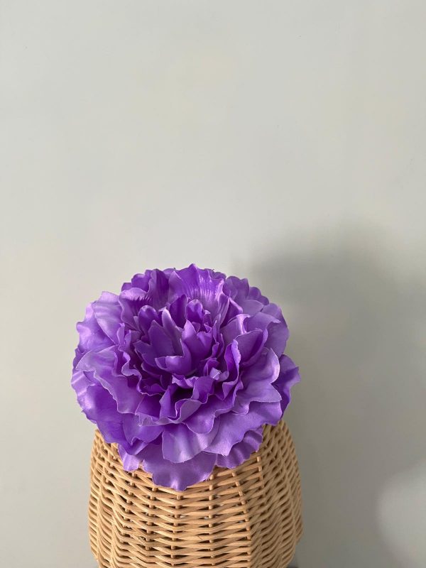 Maxipeonia lila