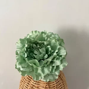 Maxipeonia verde manzana