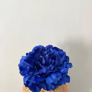 Maxipeonia azul pavo