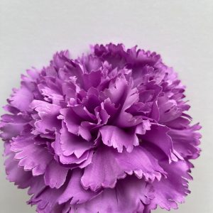 Maxi clavel malva