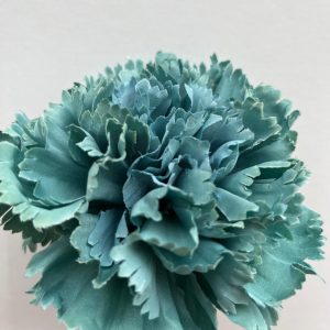 Maxi clavel verde empolvado