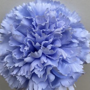 Maxi clavel celeste