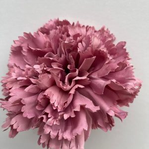 Maxi clavel rosa empolvado