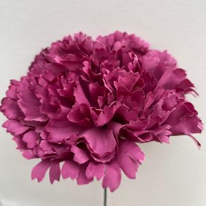 Maxi clavel berejena