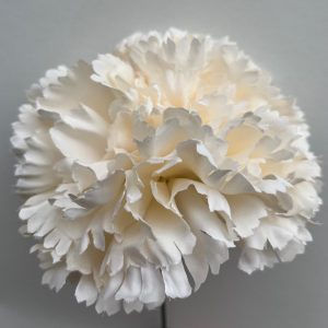 Maxi clavel beig