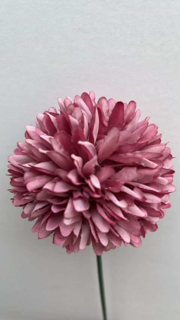 Pompón rosa empolvado