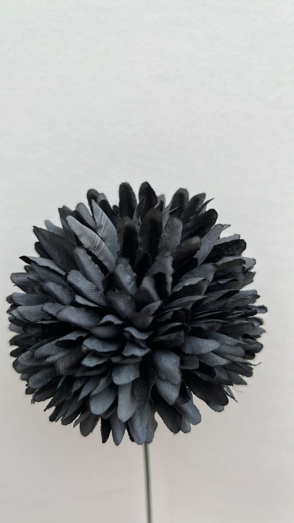 Pompón negro