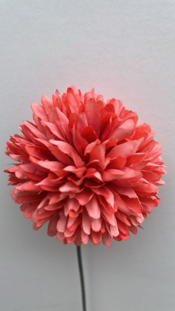 Pompón coral