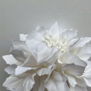 Flor alegría blanca