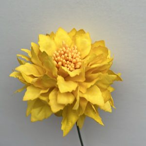 Flor alegría amarilla