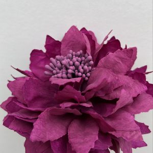 Flor alegría berejena
