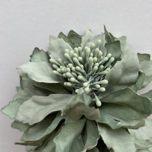 Flor alegría verde manzana