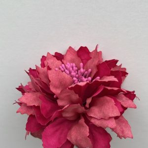 Flor alegría buganvilla
