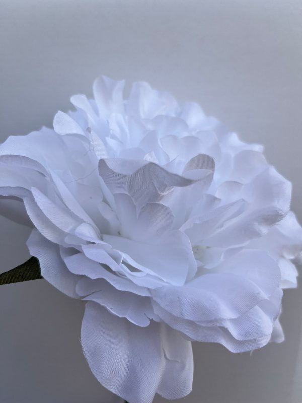 Peonia blanca