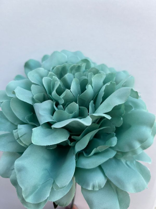 Peonia verde empolvado
