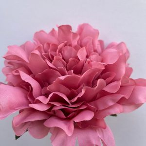 Peonia maquillaje