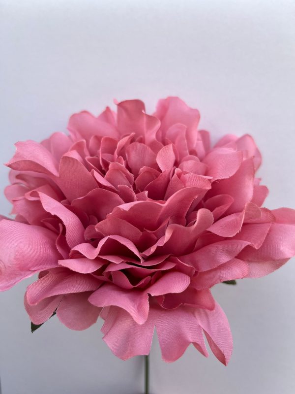 Peonia maquillaje