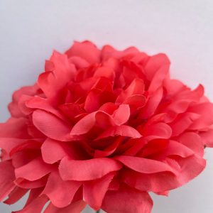 Peonia coral