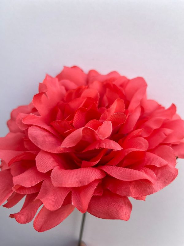 Peonia coral