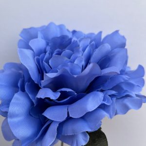 Peonia lavanda