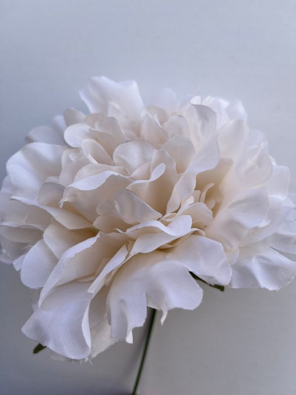 Peonia beig