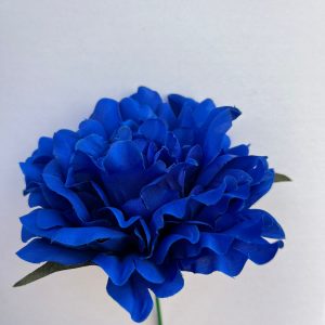Peonia azul pavo
