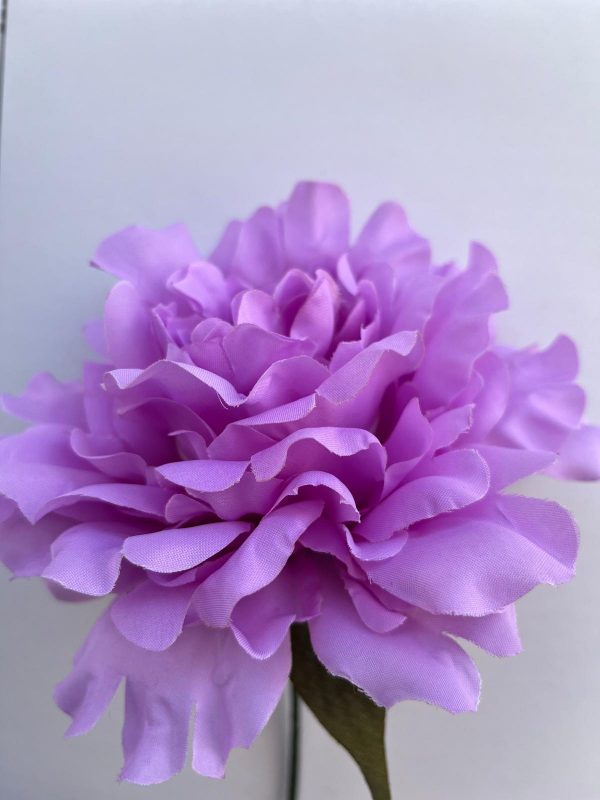 Peonia malva