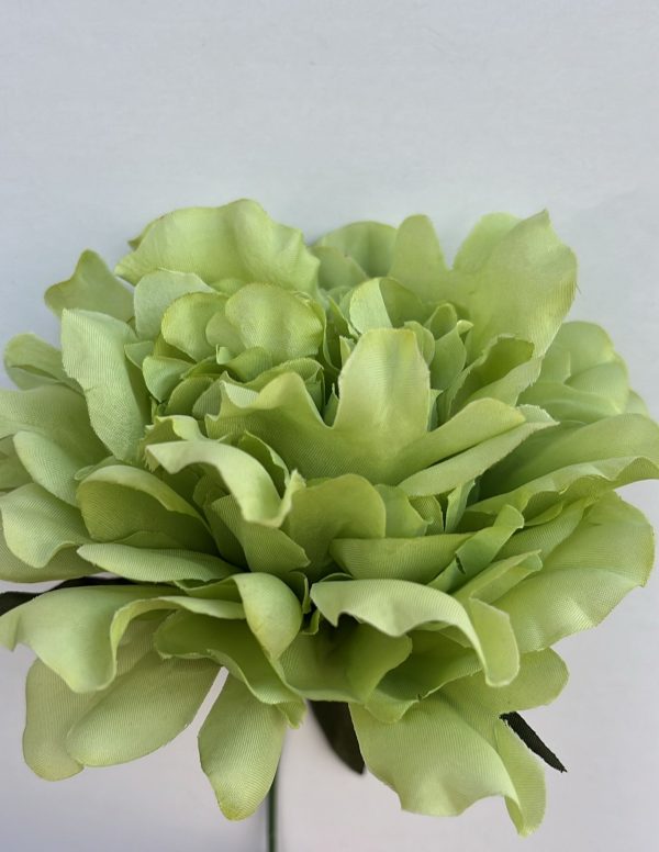 Peonia verde esmeralda