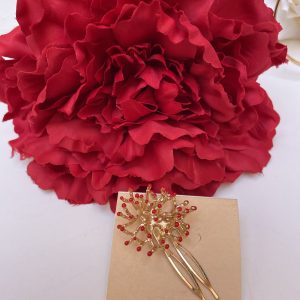 Peinecillos pompón rojo