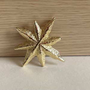 Broche estrella