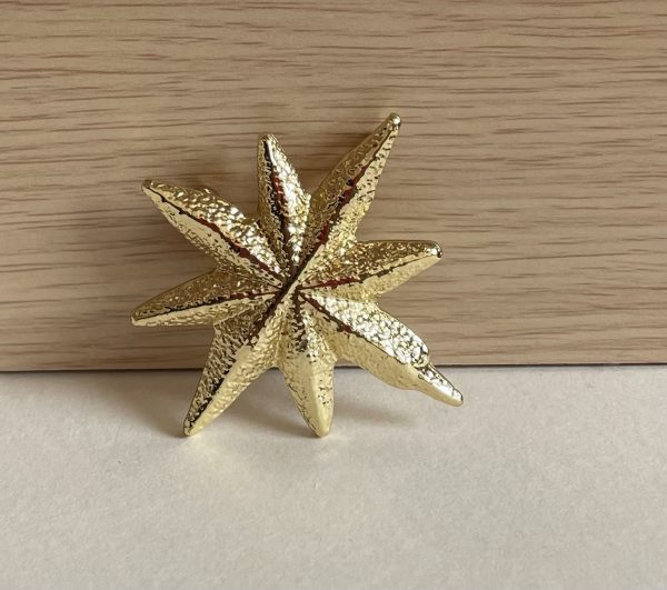 Broche estrella