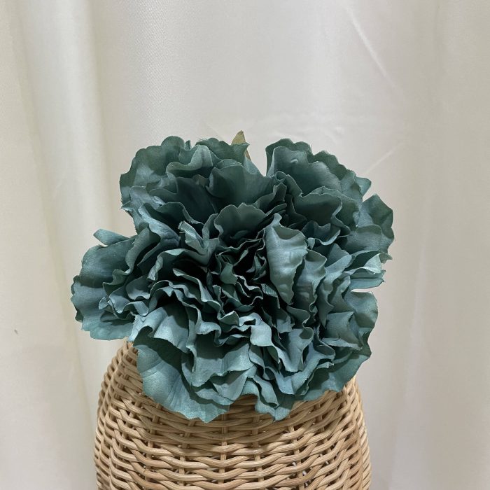 Maxipeonía empolvado