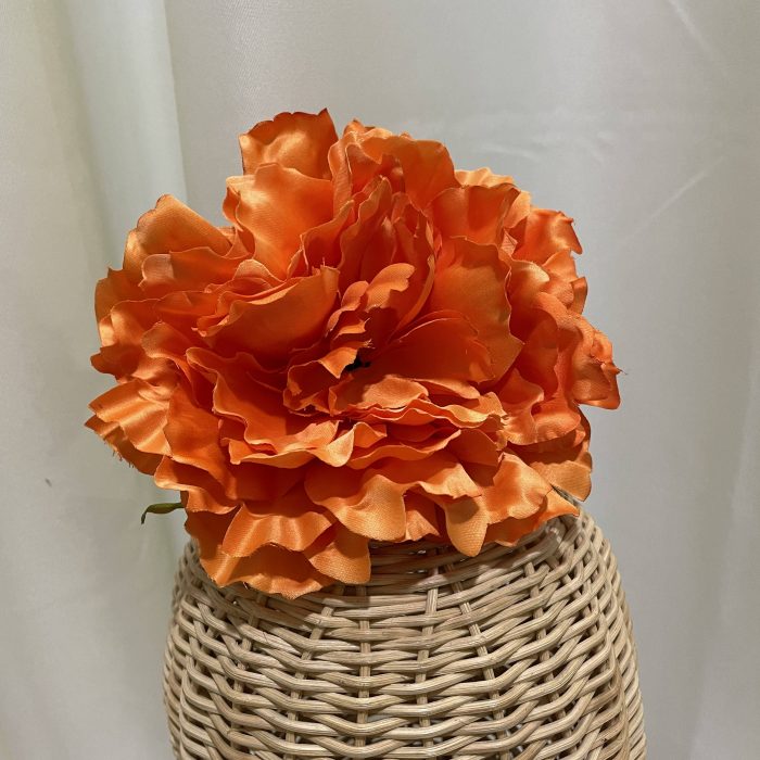 Maxipeonía mandarina