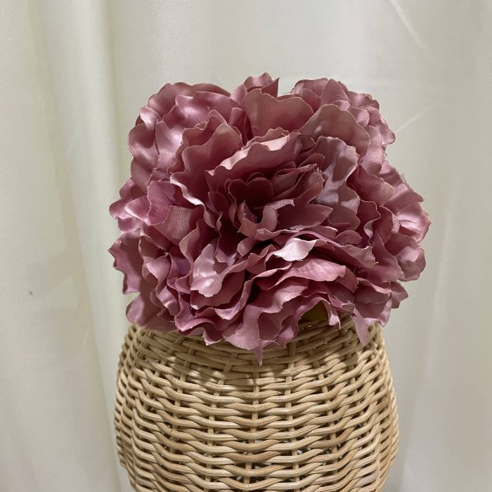 Maxipeonía maquillaje