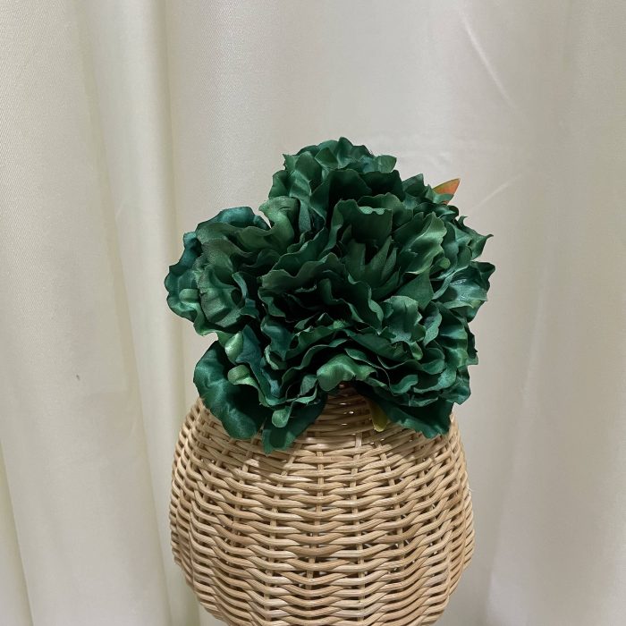 Maxipeonía verde carruaje